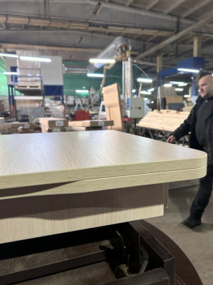 Стол складной Алтай 03 R50 лайт Дуб Молочный