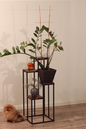 Подставка декоративная 4 в 1 MW2 сосна