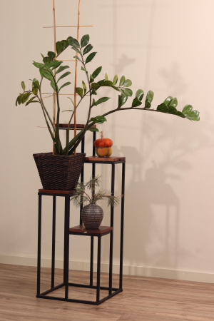 Подставка декоративная 4 в 1 MW2 сосна