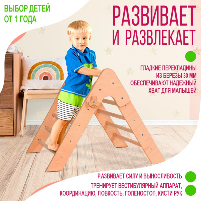 Складной треугольник, Береза Складной треугольник, Береза