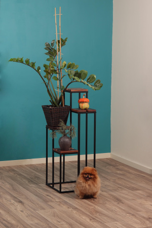 Подставка декоративная 4 в 1 MW2 сосна