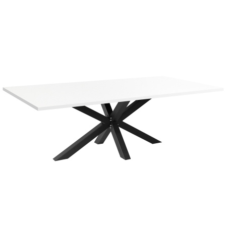 Стол Кейптаун (2500х1200), ЛДСП Белый / Металлокаркас Черный