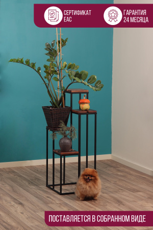 Подставка декоративная 4 в 1 MW2 сосна